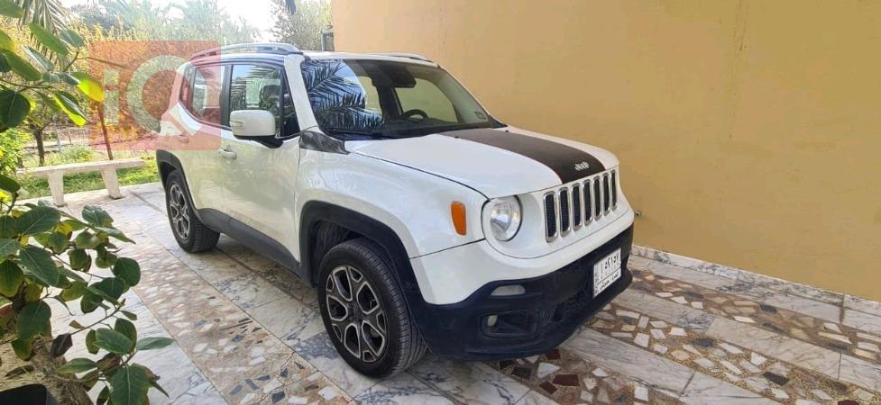 جيب رينيجيد